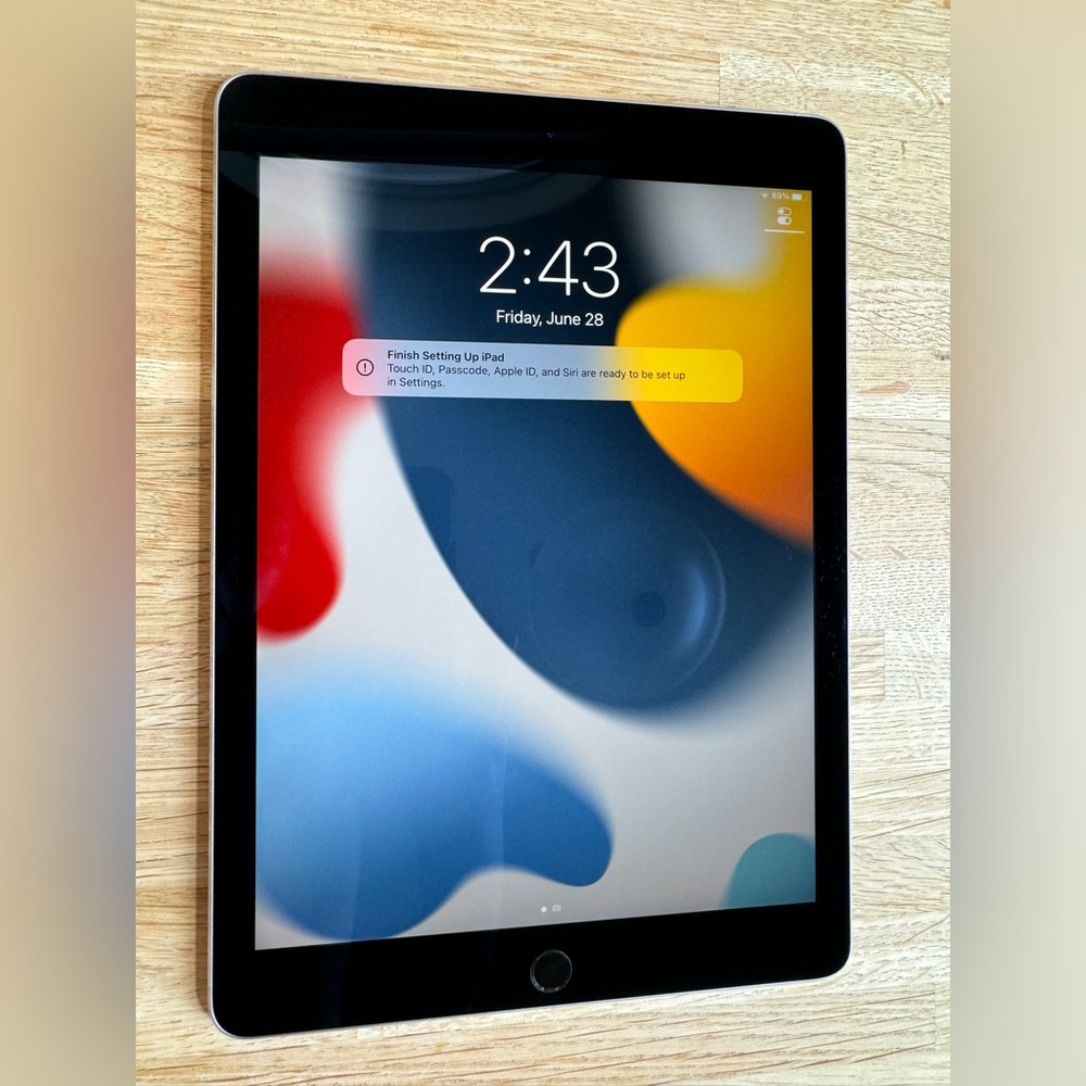 Apple iPad Pro 1st Gen. 256GB, 9.7in
